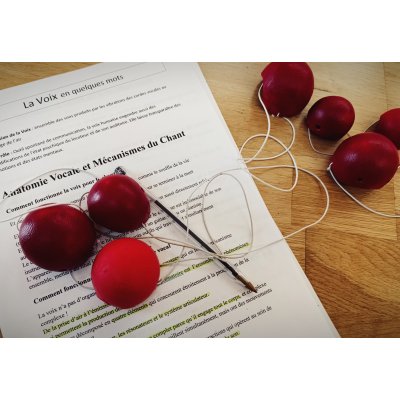 seance seance